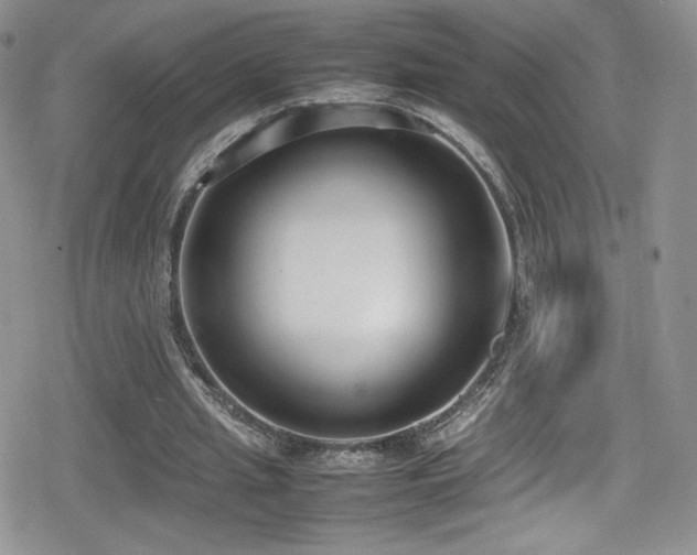 X0000080170437200612081404