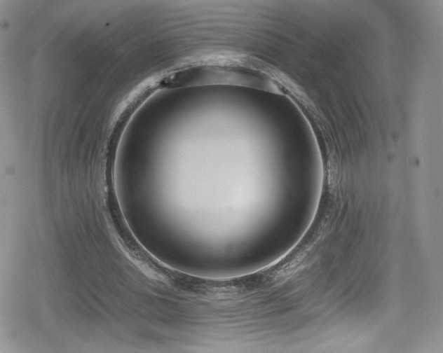 X0000080170438200612081404