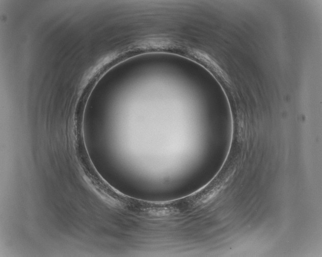 X0000080170439200612081404