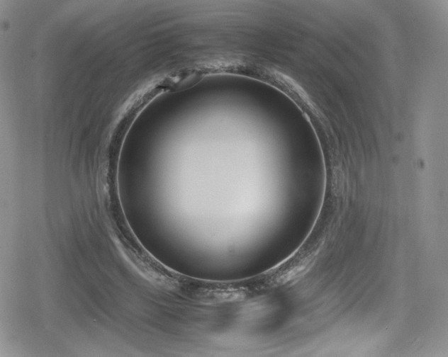 X0000080170443200612081404