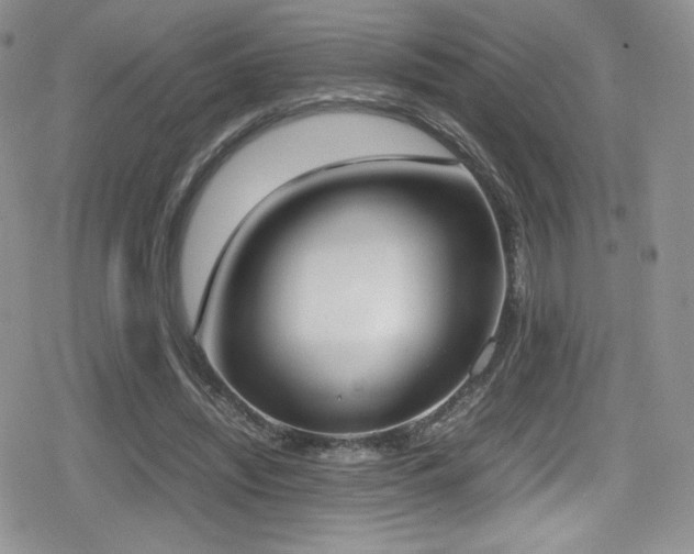 X0000080170444200612081404