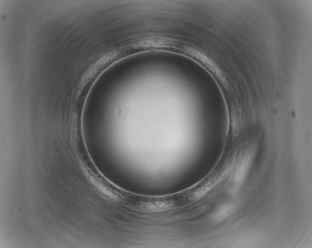 X0000080170445200612081404