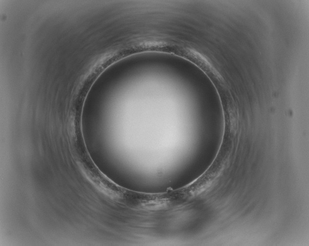 X0000080170447200612081405