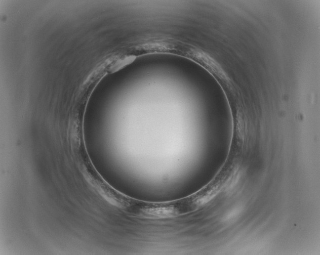 X0000080170449200612081405
