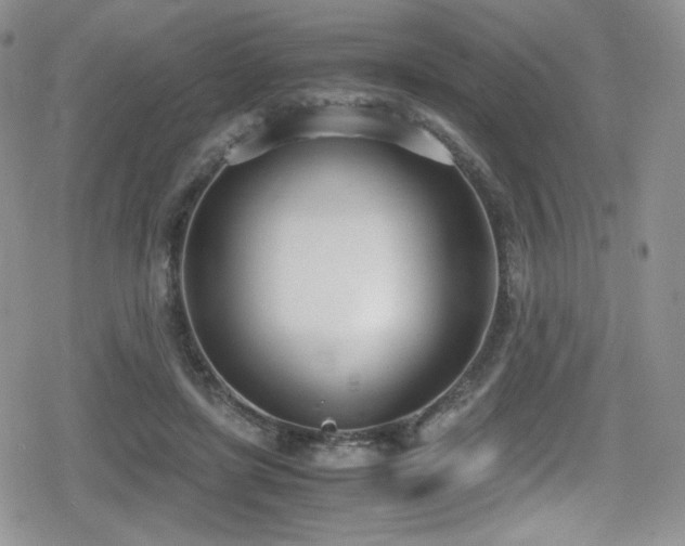 X0000080170451200612081405