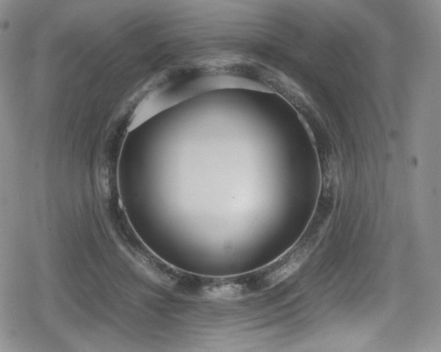 X0000080170452200612081405