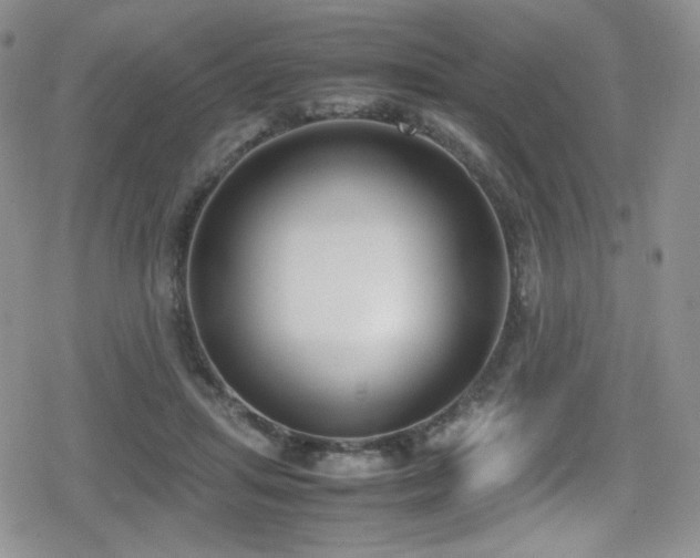 X0000080170455200612081405