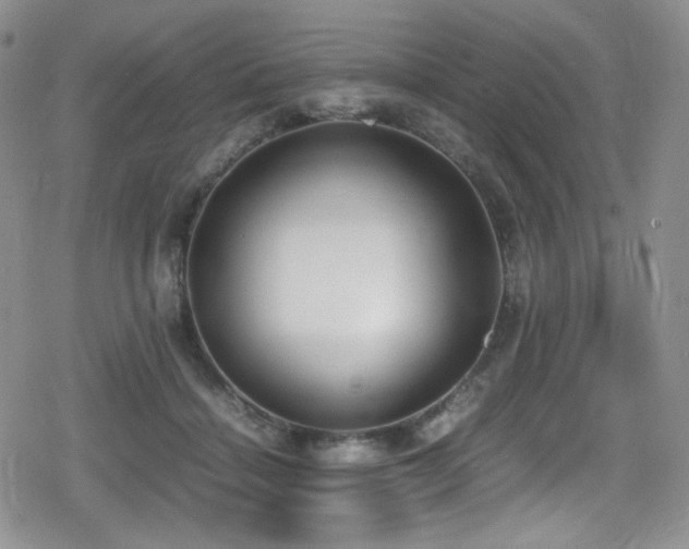X0000080170460200612081405