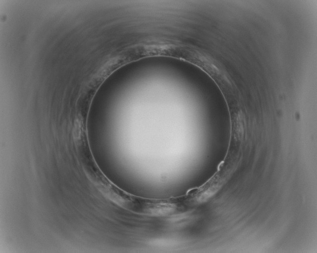 X0000080170463200612081405