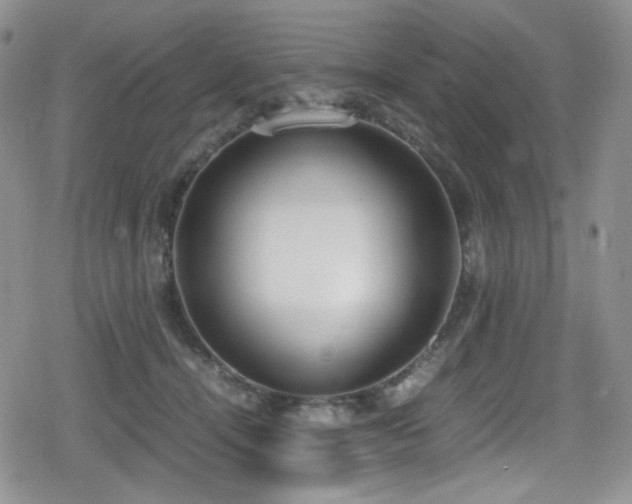 X0000080170464200612081405