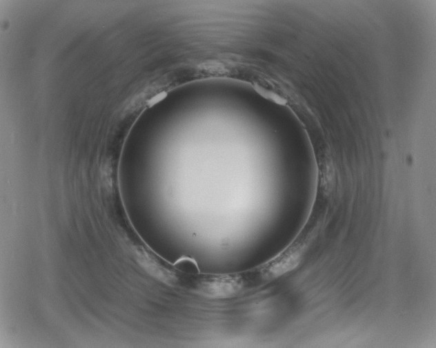 X0000080170466200612081405
