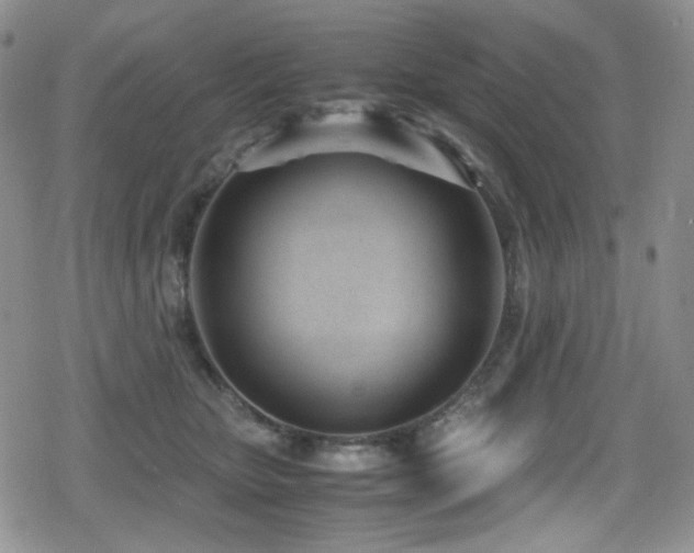 X0000080170467200612081405