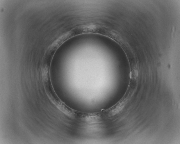 X0000080170468200612081405