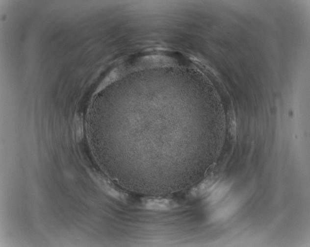 X0000080170471200612081405