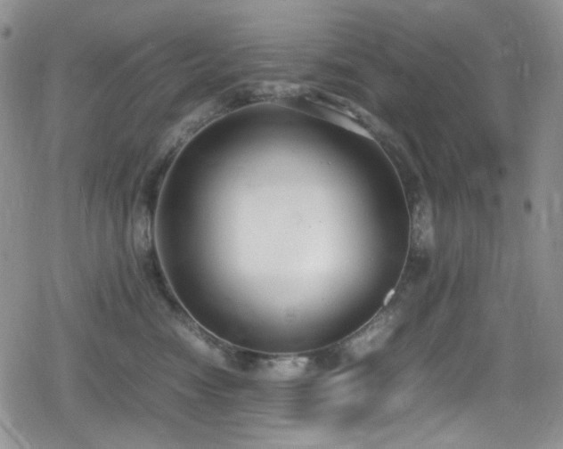 X0000080170474200612081405