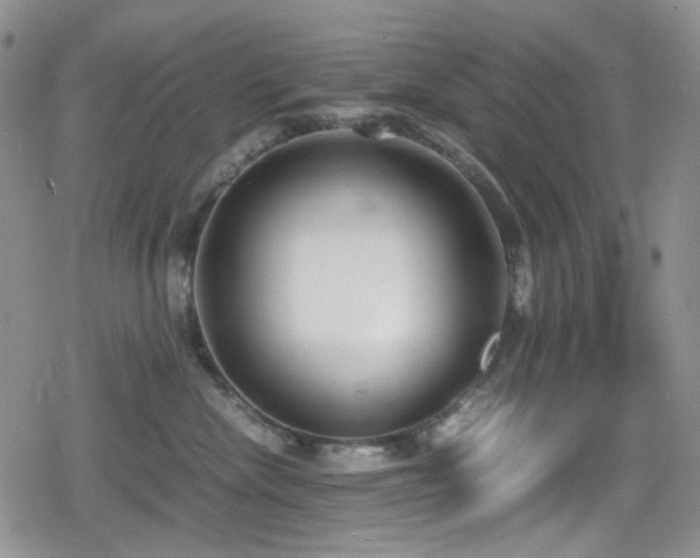 X0000080170476200612081405