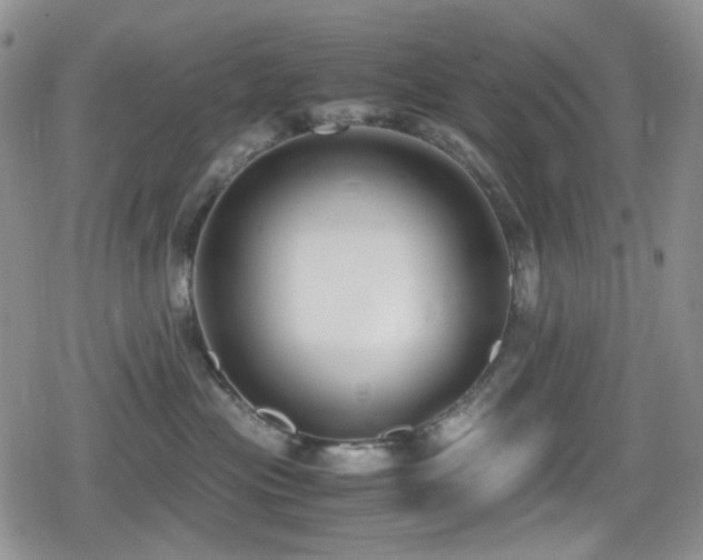 X0000080170477200612081405