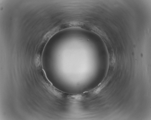 X0000080170478200612081405