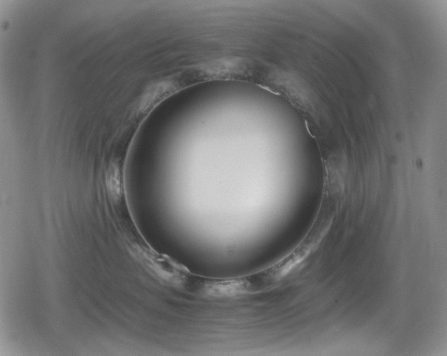 X0000080170479200612081405