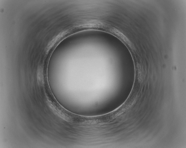 X0000080170482200612081404