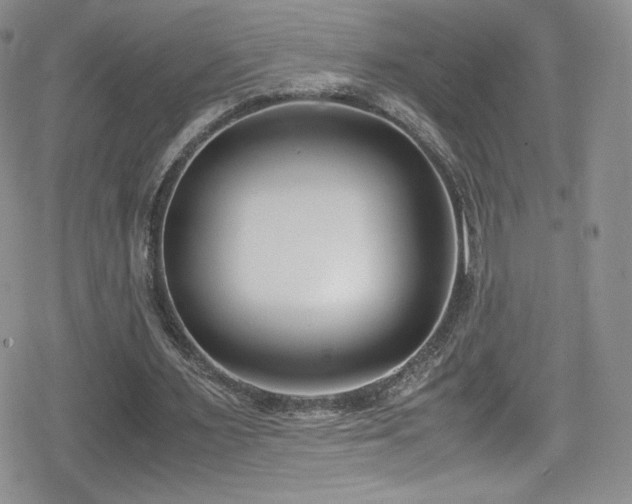 X0000080170483200612081404