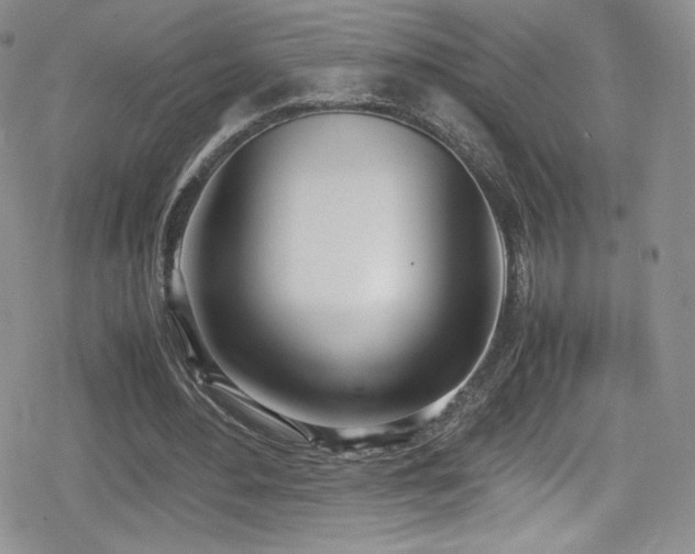 X0000080170484200612081404