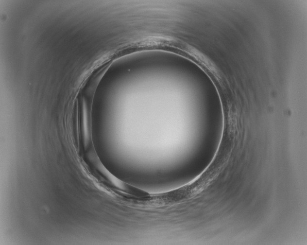 X0000080170485200612081404