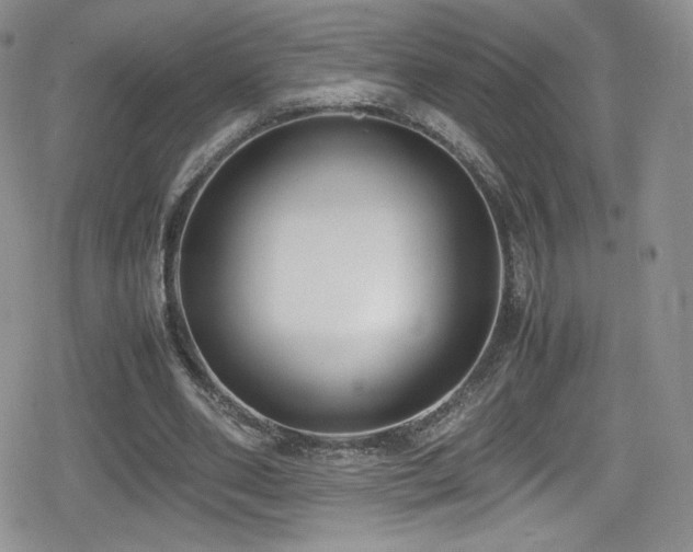 X0000080170486200612081404