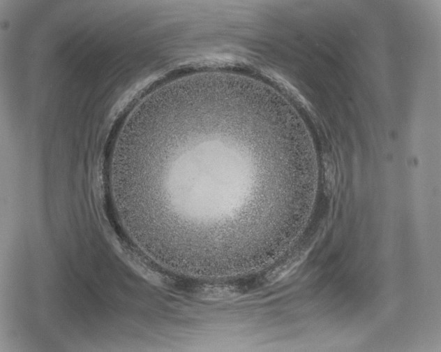 X0000080170487200612081404