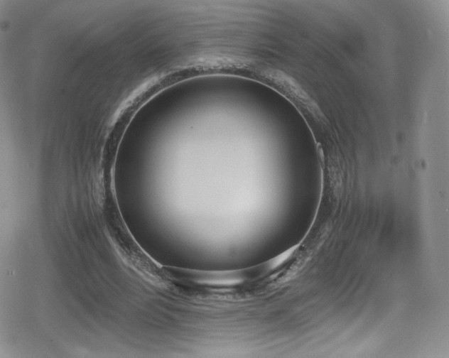 X0000080170488200612081404