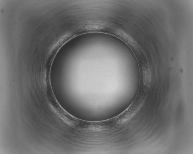 X0000080170490200612081404