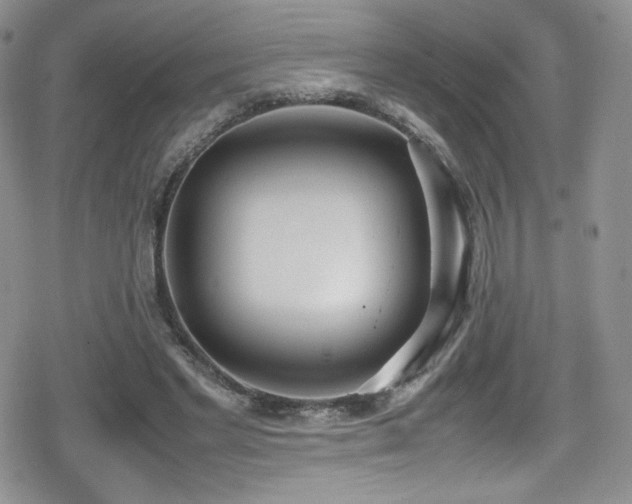 X0000080170493200612081404