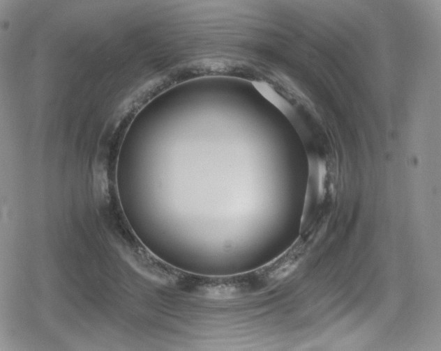 X0000080170500200612081404