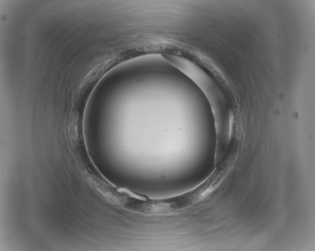 X0000080170501200612081404