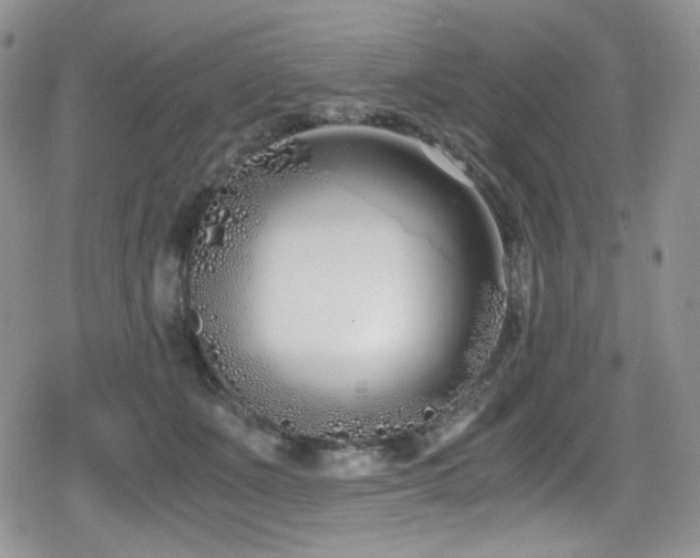 X0000080170511200612081404