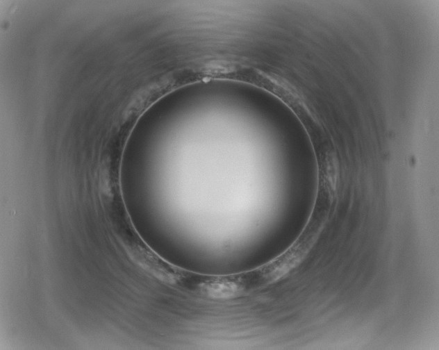 X0000080170512200612081404