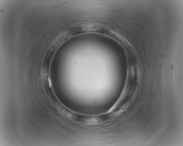 X0000080170513200612081404