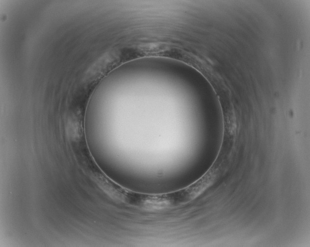 X0000080170515200612081404