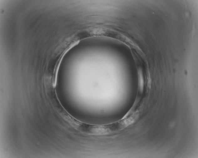 X0000080170521200612081404