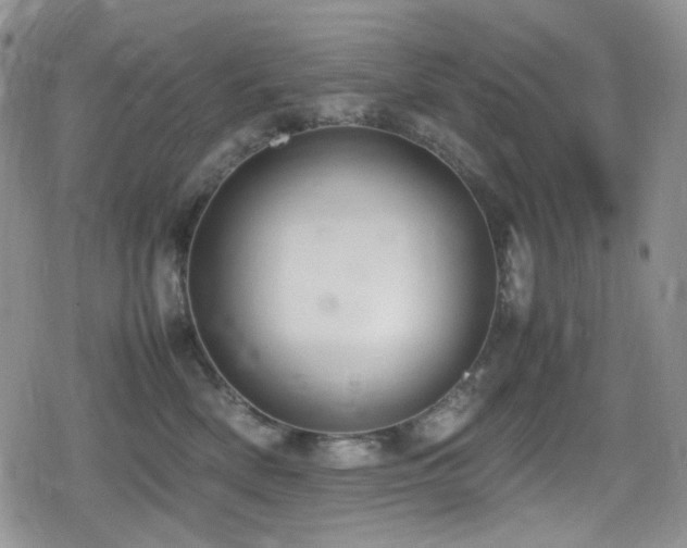 X0000080170522200612081404