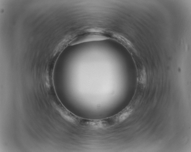 X0000080170524200612081404