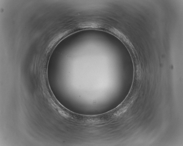 X0000080170529200612081403