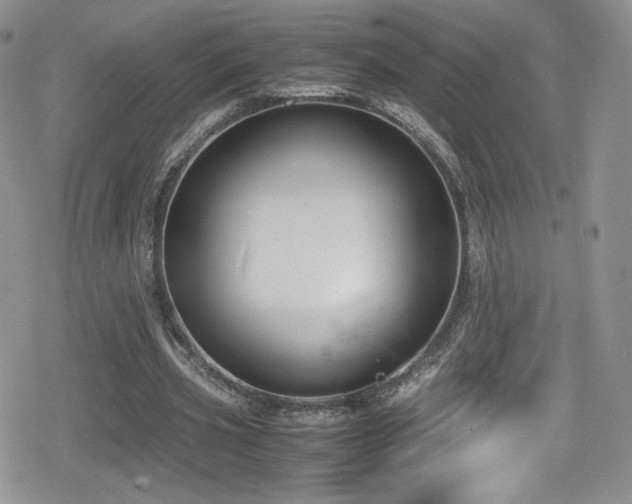 X0000080170533200612081403