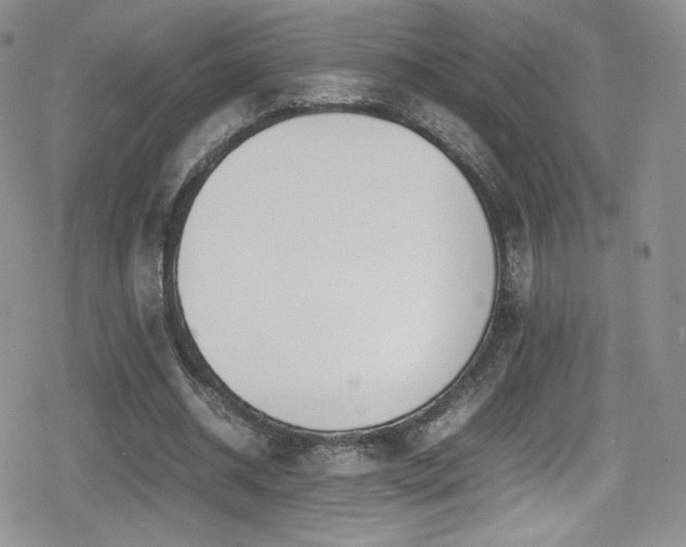 X0000080170534200612081403