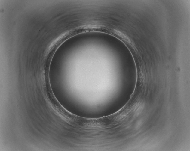 X0000080170535200612081403