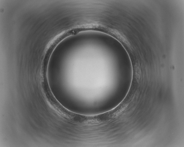 X0000080170536200612081403