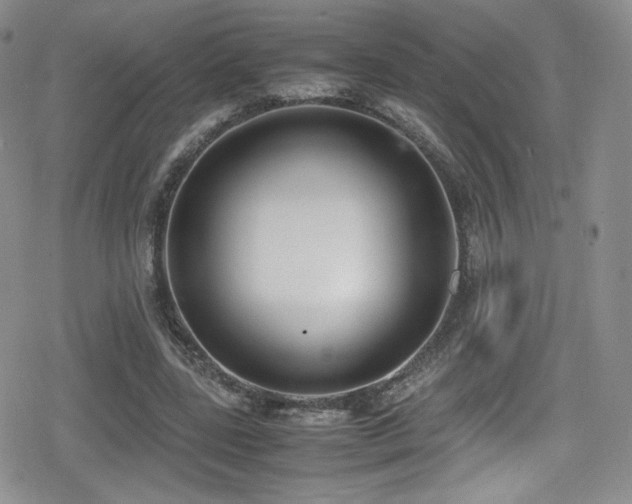 X0000080170539200612081403