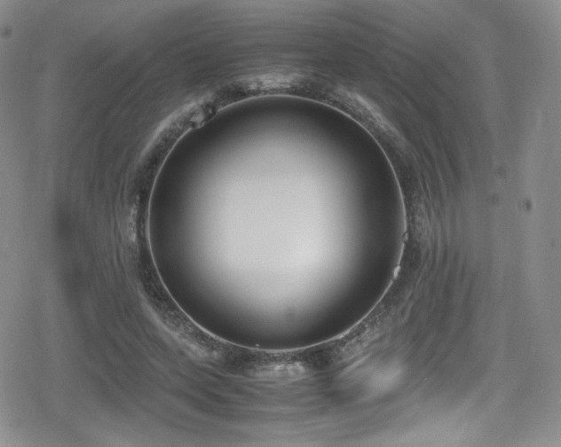 X0000080170543200612081403