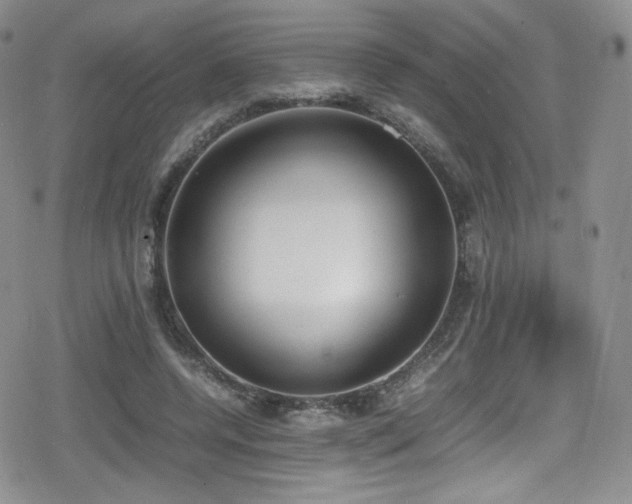 X0000080170544200612081403