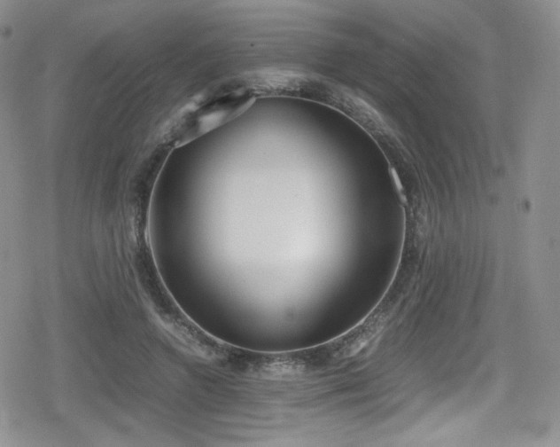 X0000080170546200612081403